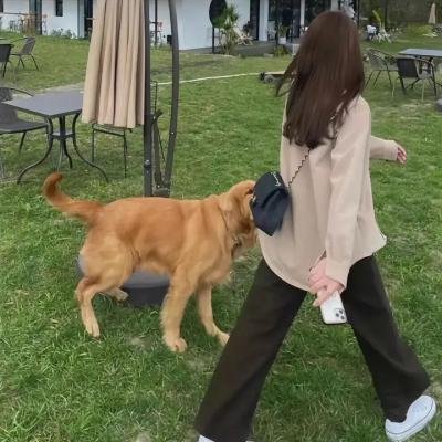 风的电话